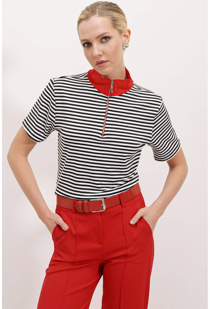 0497 Polo Collar Striped T-Shirt