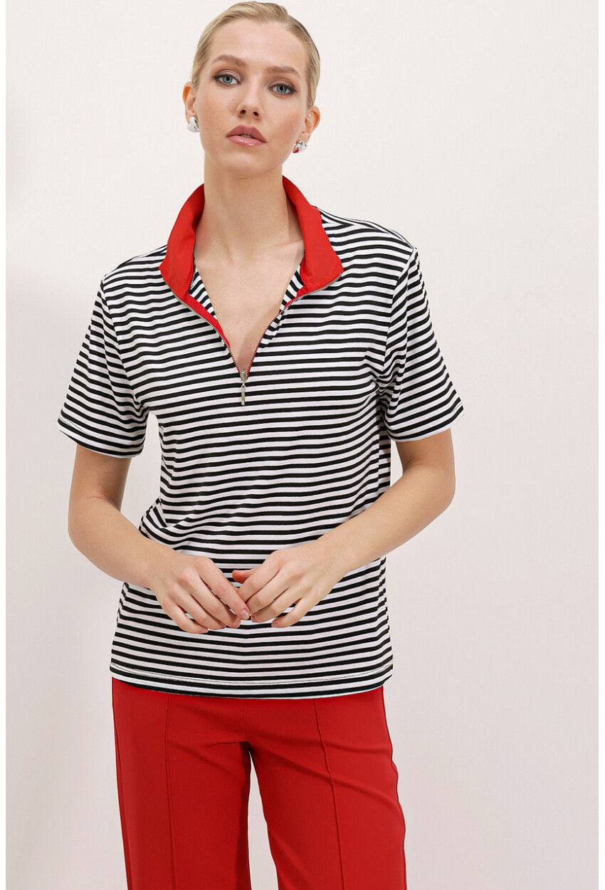 0497 Polo Collar Striped T-Shirt