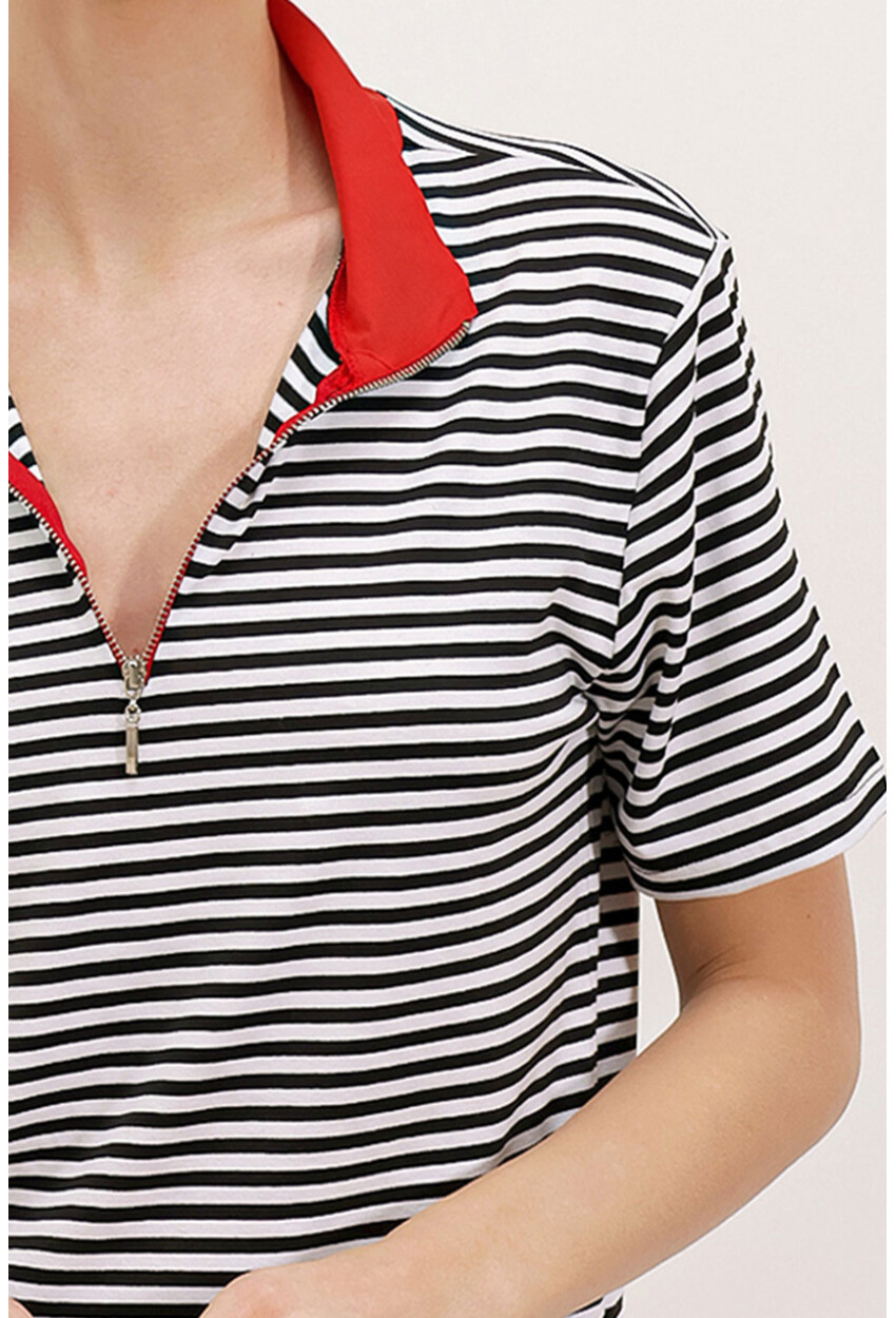 0497 Polo Collar Striped T-Shirt