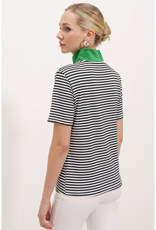 0497 Polo Collar Striped T-Shirt